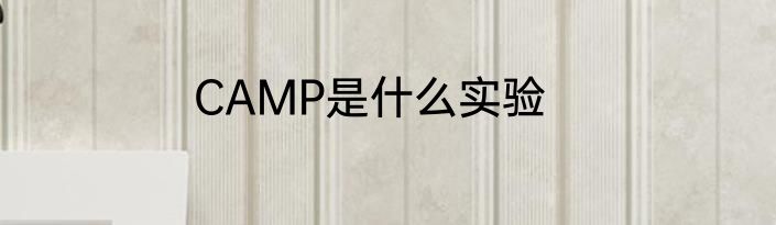CAMP是什么实验