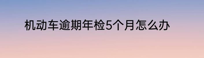 机动车逾期年检5个月怎么办