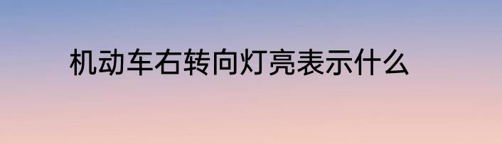 机动车右转向灯亮表示什么