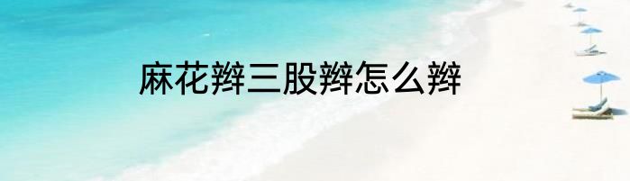 麻花辫三股辫怎么辫