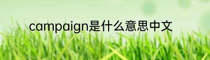 campaign是什么意思中文