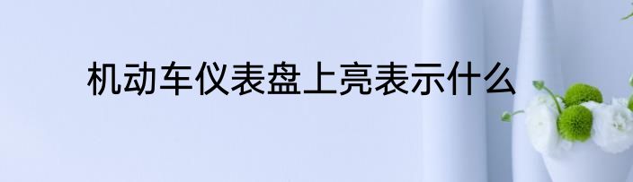 机动车仪表盘上亮表示什么