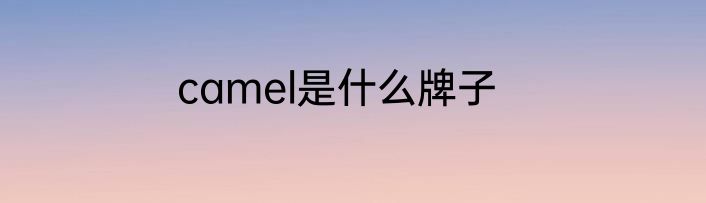 camel是什么牌子