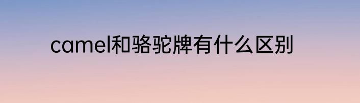 camel和骆驼牌有什么区别