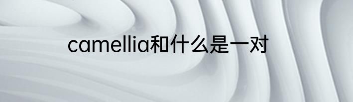 camellia和什么是一对