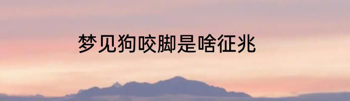 梦见狗咬脚是啥征兆