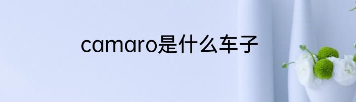 camaro是什么车子