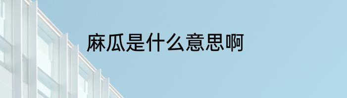 麻瓜是什么意思啊