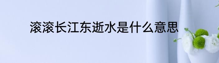 滚滚长江东逝水是什么意思