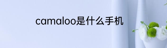 camaloo是什么手机