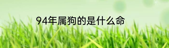 94年属狗的是什么命