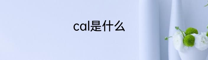 cal是什么