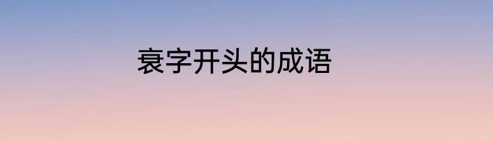 衰字开头的成语