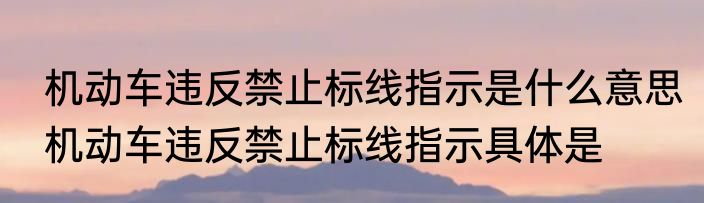 机动车违反禁止标线指示是什么意思机动车违反禁止标线指示具体是