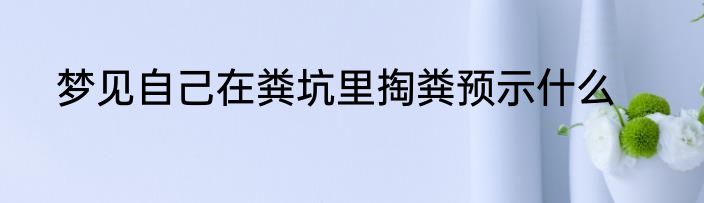 梦见自己在粪坑里掏粪预示什么