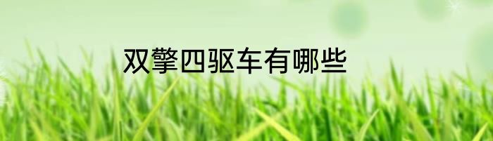 双擎四驱车有哪些