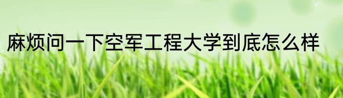麻烦问一下空军工程大学到底怎么样