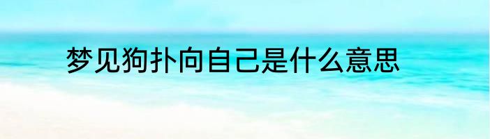 梦见狗扑向自己是什么意思