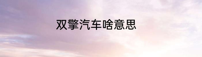 双擎汽车啥意思
