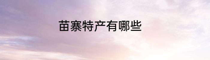 苗寨特产有哪些