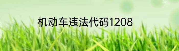 机动车违法代码1208