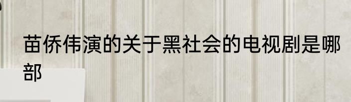 苗侨伟演的关于黑社会的电视剧是哪部