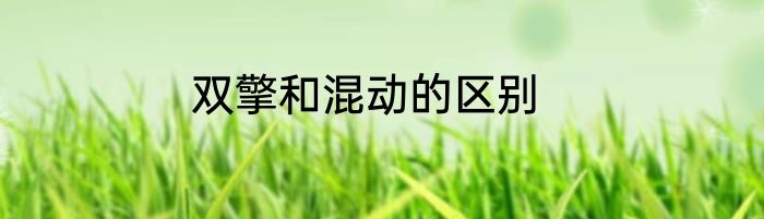 双擎和混动的区别
