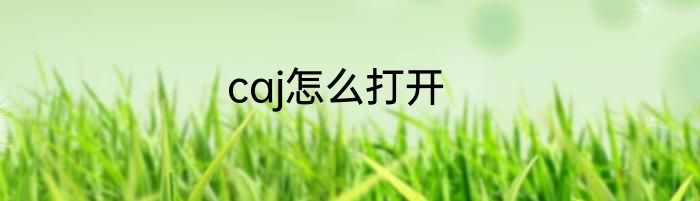 caj怎么打开