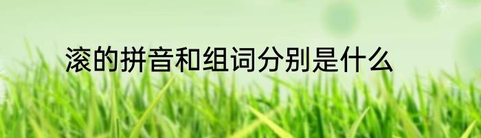 滚的拼音和组词分别是什么