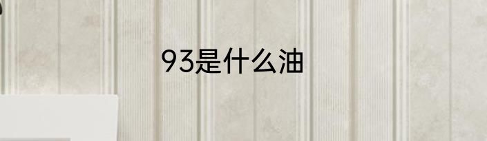 93是什么油
