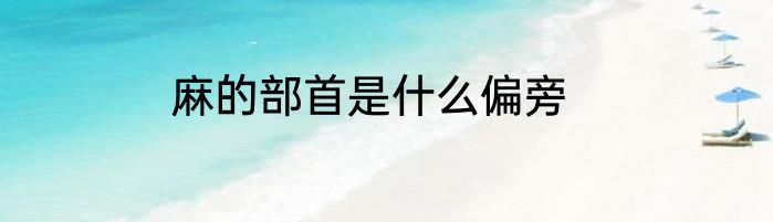 麻的部首是什么偏旁