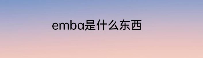 emba是什么东西