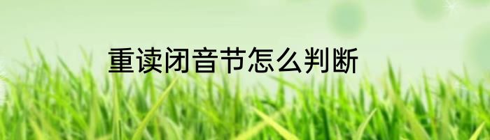 重读闭音节怎么判断