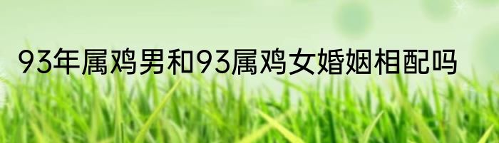 93年属鸡男和93属鸡女婚姻相配吗