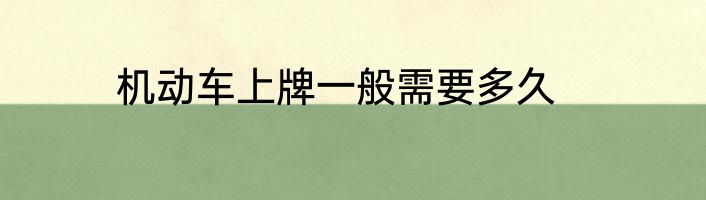 机动车上牌一般需要多久