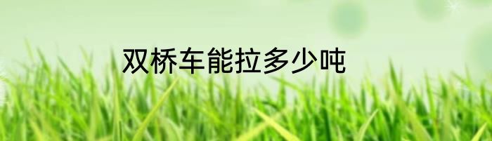 双桥车能拉多少吨