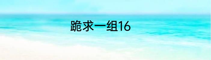 跪求一组16