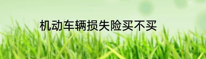 机动车辆损失险买不买