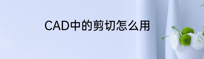 CAD中的剪切怎么用