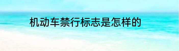 机动车禁行标志是怎样的