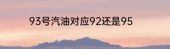 93号汽油对应92还是95