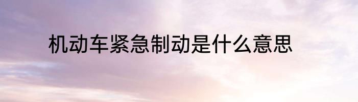 机动车紧急制动是什么意思
