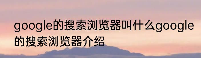 google的搜索浏览器叫什么google的搜索浏览器介绍