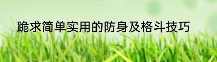 跪求简单实用的防身及格斗技巧