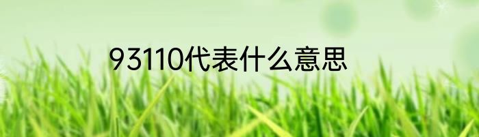 93110代表什么意思