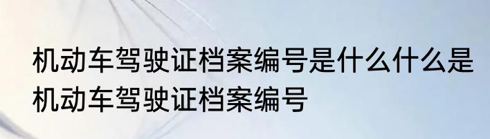 机动车驾驶证档案编号是什么什么是机动车驾驶证档案编号