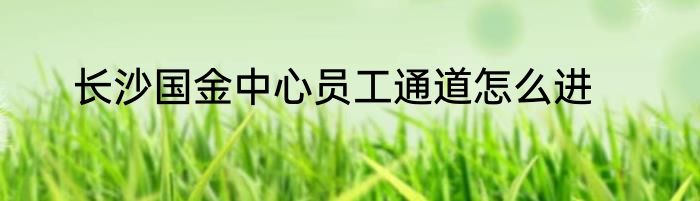 长沙国金中心员工通道怎么进