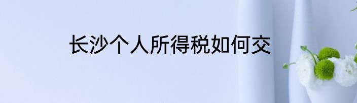 长沙个人所得税如何交