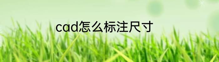 cad怎么标注尺寸