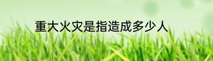 重大火灾是指造成多少人